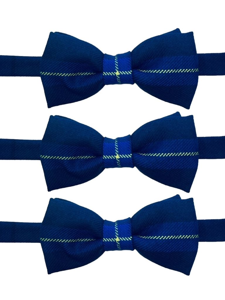 Irving Of Bonshaw Tartan Bow Tie main image 0
